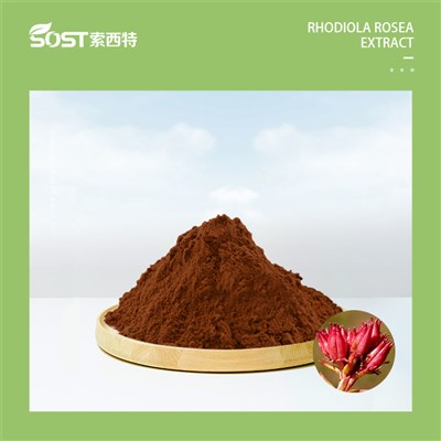 Taca Nike 2024080808080808.